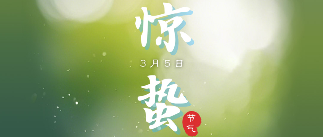 惊蛰万物苏，算力化宏图